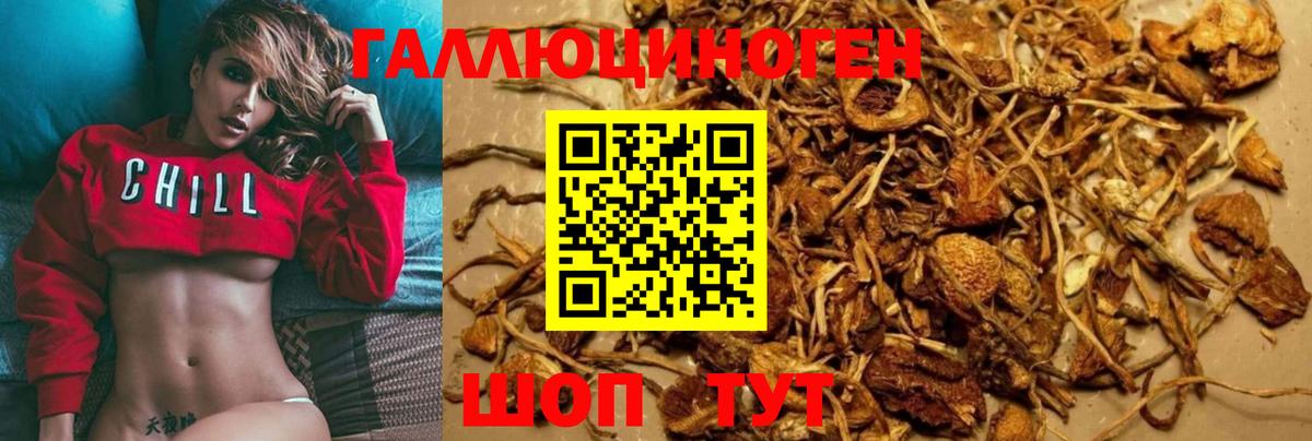 Галлюциногенные грибы GOLDEN TEACHER  Псилоцибиновые грибы Psilocybe  Вход с VPN  Бийск 